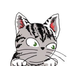 American Shorthair Cats sticker #577554