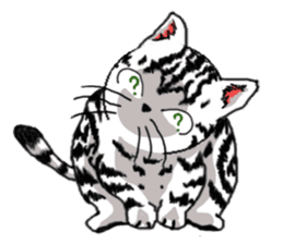 American Shorthair Cats sticker #577556