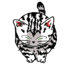 American Shorthair Cats sticker #577557