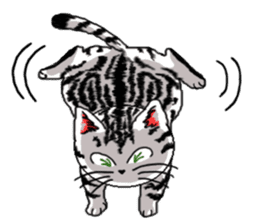 American Shorthair Cats sticker #577560