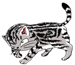 American Shorthair Cats sticker #577561