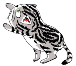 American Shorthair Cats sticker #577562