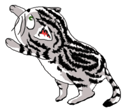American Shorthair Cats sticker #577562