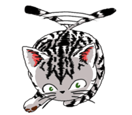American Shorthair Cats sticker #577563
