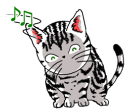 American Shorthair Cats sticker #577564