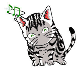 American Shorthair Cats sticker #577564