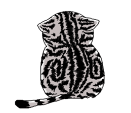 American Shorthair Cats sticker #577565