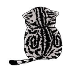 American Shorthair Cats sticker #577565