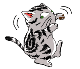 American Shorthair Cats sticker #577569