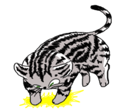 American Shorthair Cats sticker #577570