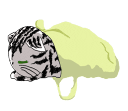 American Shorthair Cats sticker #577571