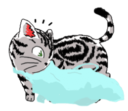 American Shorthair Cats sticker #577572