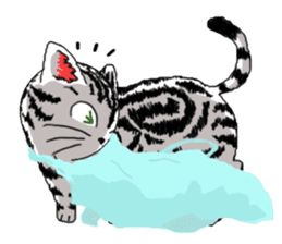 American Shorthair Cats sticker #577572