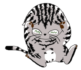 American Shorthair Cats sticker #577574