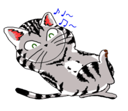 American Shorthair Cats sticker #577575