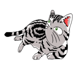 American Shorthair Cats sticker #577576