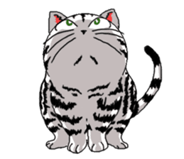 American Shorthair Cats sticker #577577