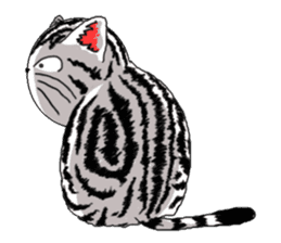 American Shorthair Cats sticker #577578