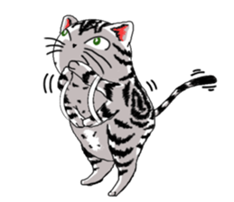 American Shorthair Cats sticker #577579