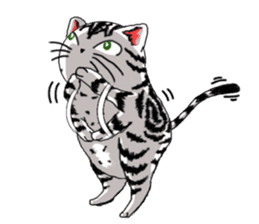American Shorthair Cats sticker #577579