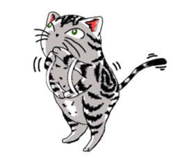 American Shorthair Cats sticker #577579