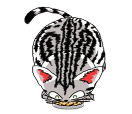 American Shorthair Cats sticker #577580