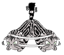 American Shorthair Cats sticker #577584