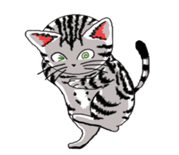 American Shorthair Cats sticker #577588