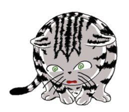 American Shorthair Cats sticker #577590