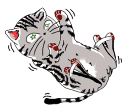 American Shorthair Cats sticker #577591