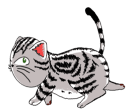 American Shorthair Cats sticker #577593