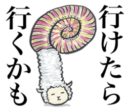 Sheep ammonite sticker #577800