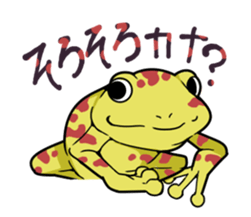 [Already Read Frog] sticker #578296