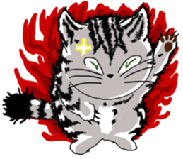 American Shorthair Cats-2 sticker #579041