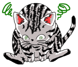American Shorthair Cats-2 sticker #579046