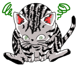 American Shorthair Cats-2 sticker #579046