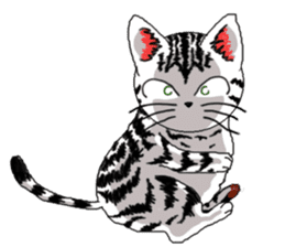 American Shorthair Cats-2 sticker #579049