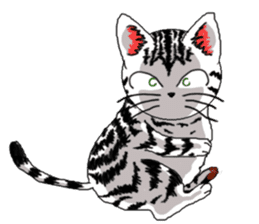 American Shorthair Cats-2 sticker #579049