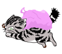 American Shorthair Cats-2 sticker #579053