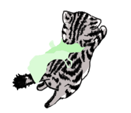 American Shorthair Cats-2 sticker #579054