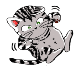 American Shorthair Cats-2 sticker #579056
