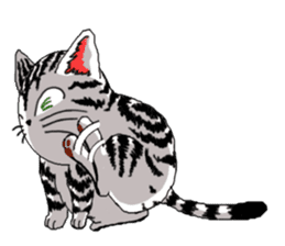 American Shorthair Cats-2 sticker #579057