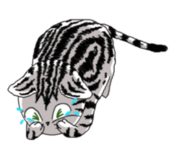 American Shorthair Cats-2 sticker #579059