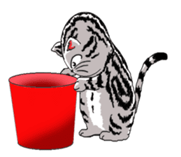 American Shorthair Cats-2 sticker #579060