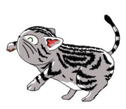 American Shorthair Cats-2 sticker #579062