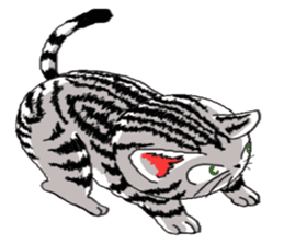 American Shorthair Cats-2 sticker #579066