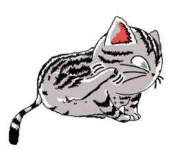 American Shorthair Cats-2 sticker #579068
