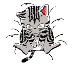 American Shorthair Cats-2 sticker #579069