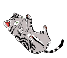 American Shorthair Cats-2 sticker #579070