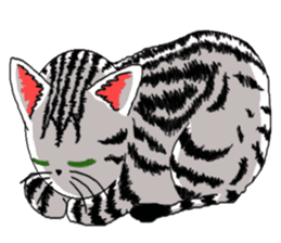 American Shorthair Cats-2 sticker #579072